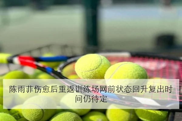 陈雨菲伤愈后重返训练场网前状态回升复出时间仍待定