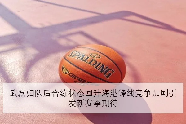 武磊归队后合练状态回升海港锋线竞争加剧引发新赛季期待